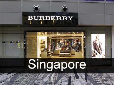 burberry blue label singapore|burberry singapore website.